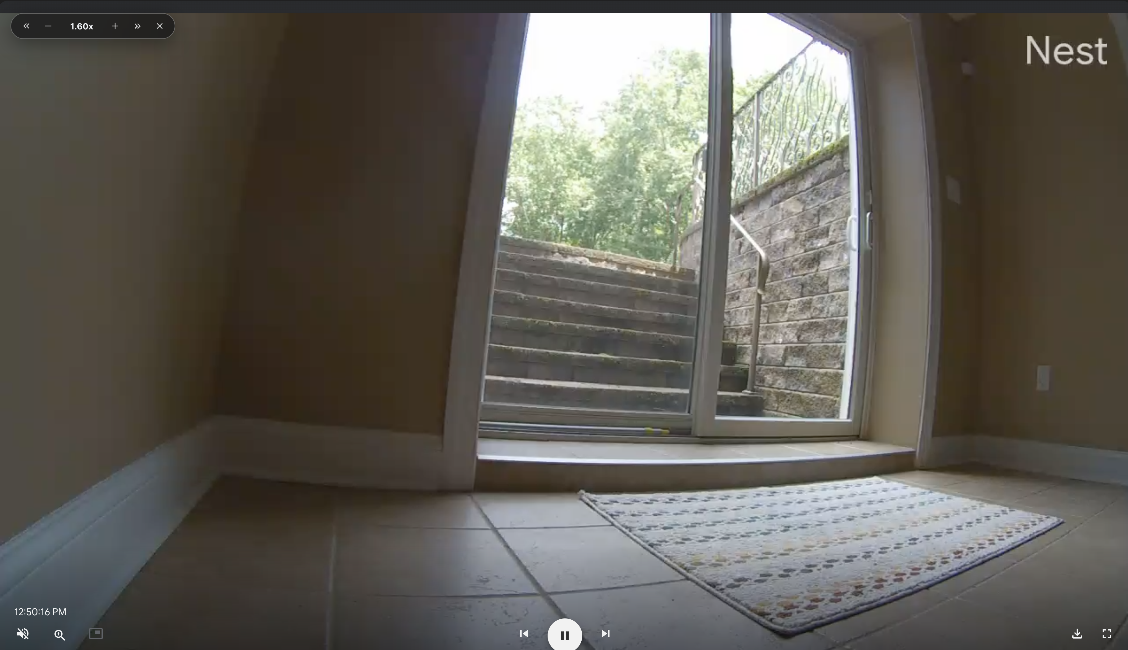 Velocity speed overlay showing 1.60x on a Google Nest camera recording